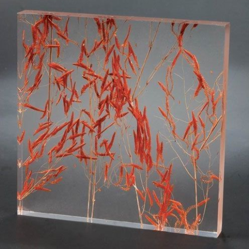 Introduction to Decorative Acrylic Panels