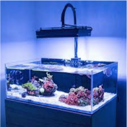Applications of Acrylic Tubes in Reef Aquariums
