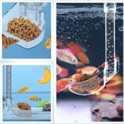 Common Uses of Acrylic Feeder Tubes