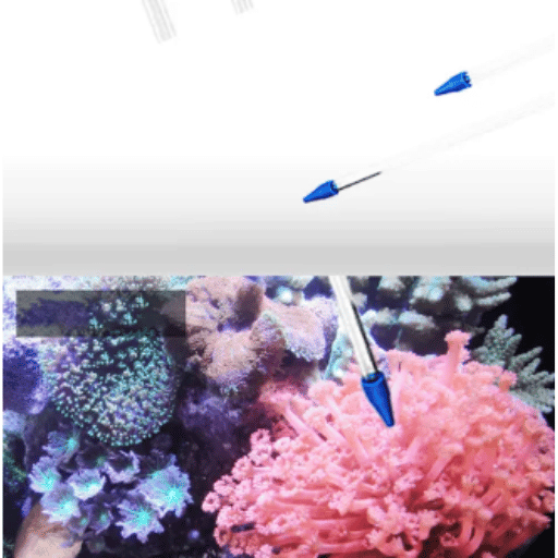 Guidelines for Selecting a Coral Feeder Tube
