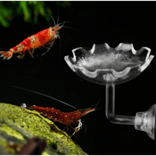 Introduction to Shrimp Feeding