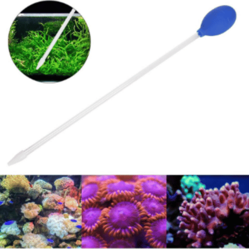 Mechanics of Coral Feeder Tubes in Marine Aquariums