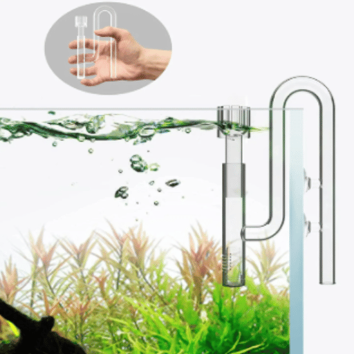 Comprendre les tuyaux de filtration d'aquarium