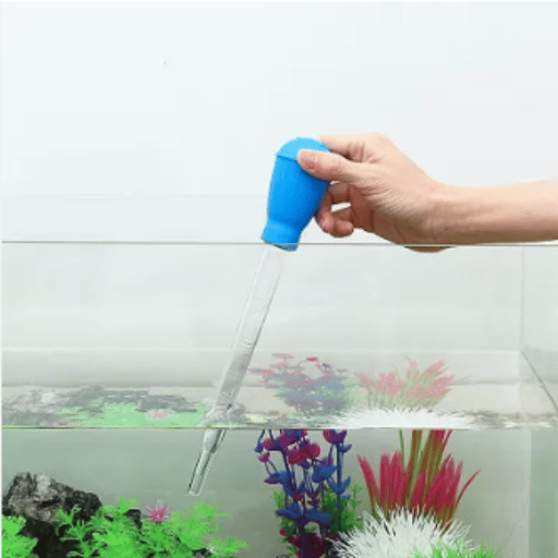 Understanding Coral Feeder Tubes