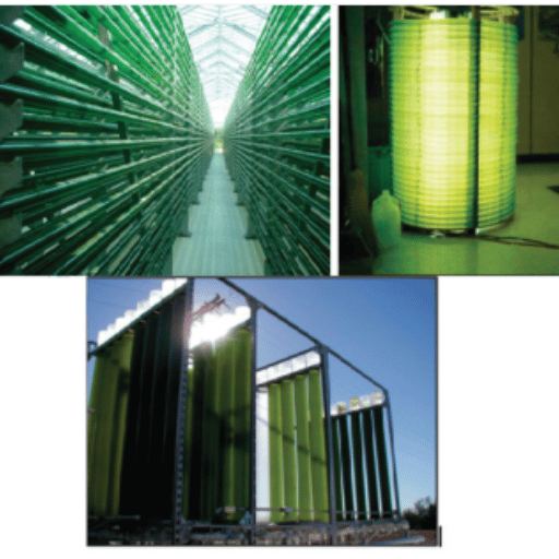Design Specifications of Tubular Photobioreactors