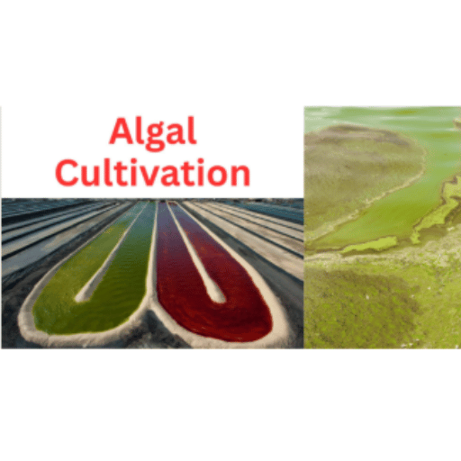 Introduction to Algae Cultivation