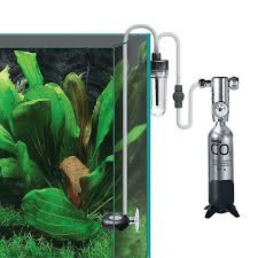 Introduction to CO2 Systems in Aquariums