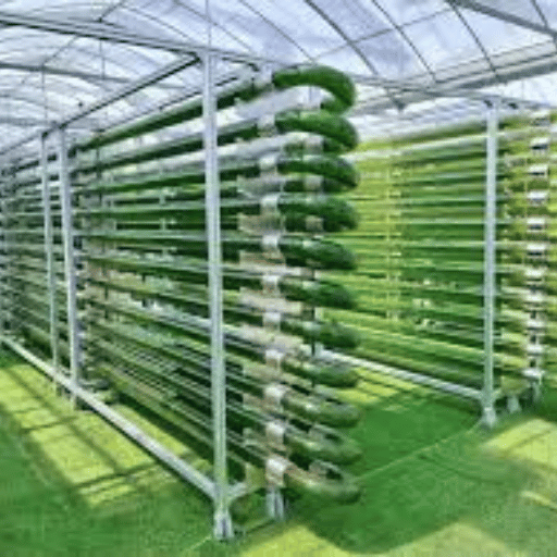 Introduction to Photobioreactors