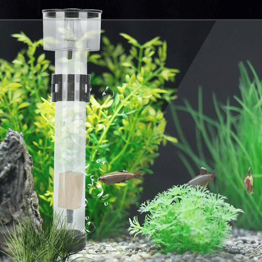 The Importance of Protein Skimmers in Aquariums