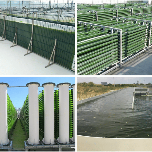 Understanding Photobioreactor Systems